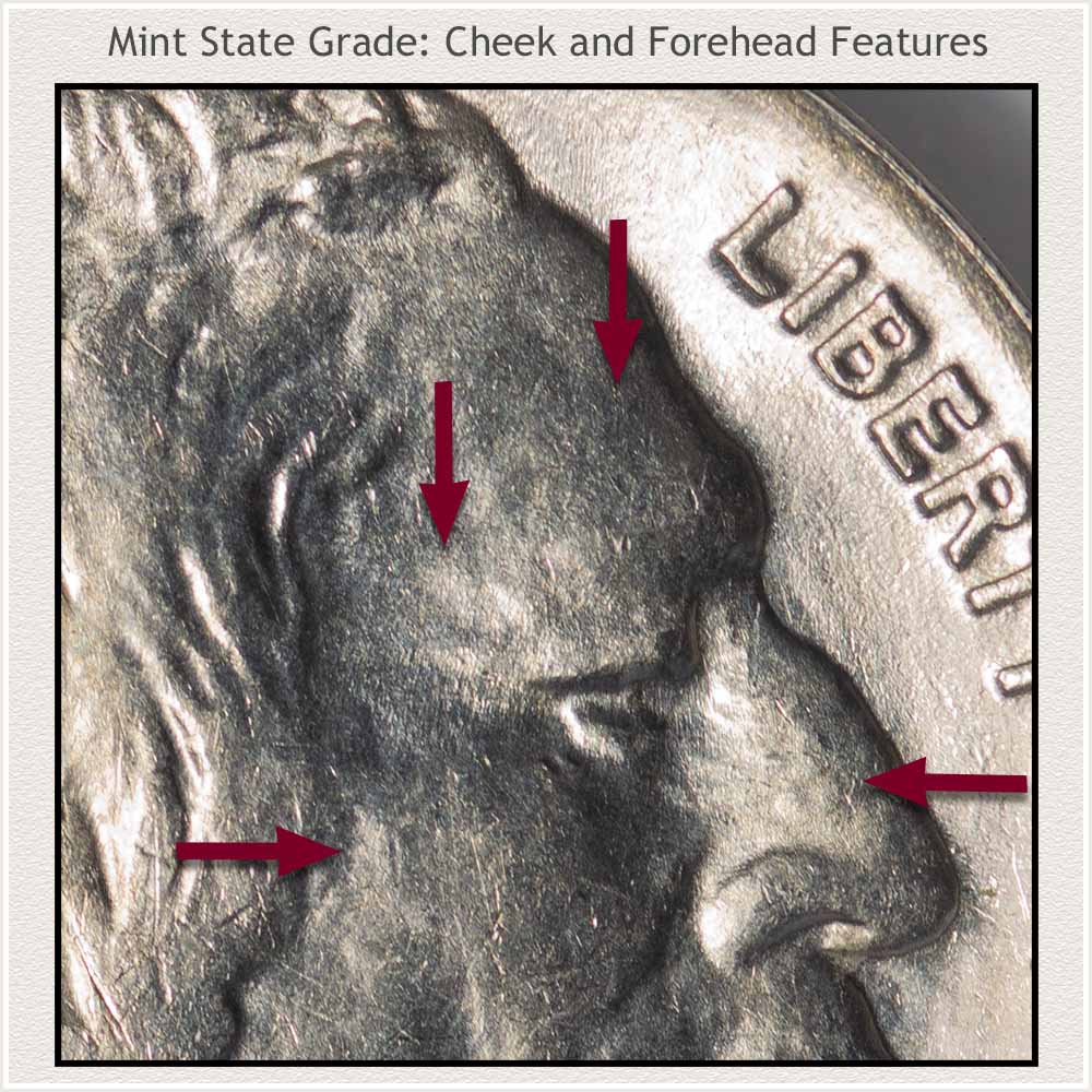 Grading Points Forehead and Cheek Mint State Grade Buffalo Nickel 