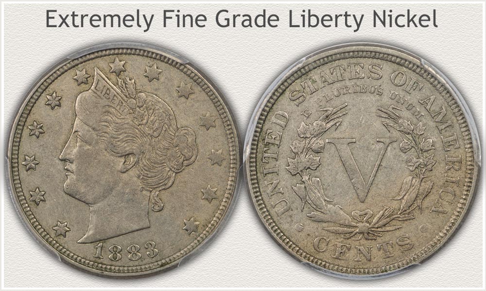 A Liberty Nickel in Extremely Fine Grade