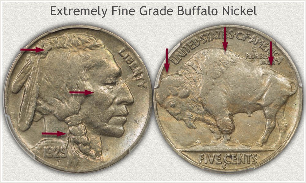 Obverse and Reverse Views of an Extremely Fine Grade Buffalo Nickel