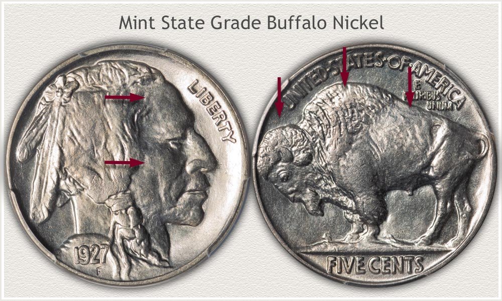 Grading Points Highlighted on a Mint State Grade Buffalo Nickel