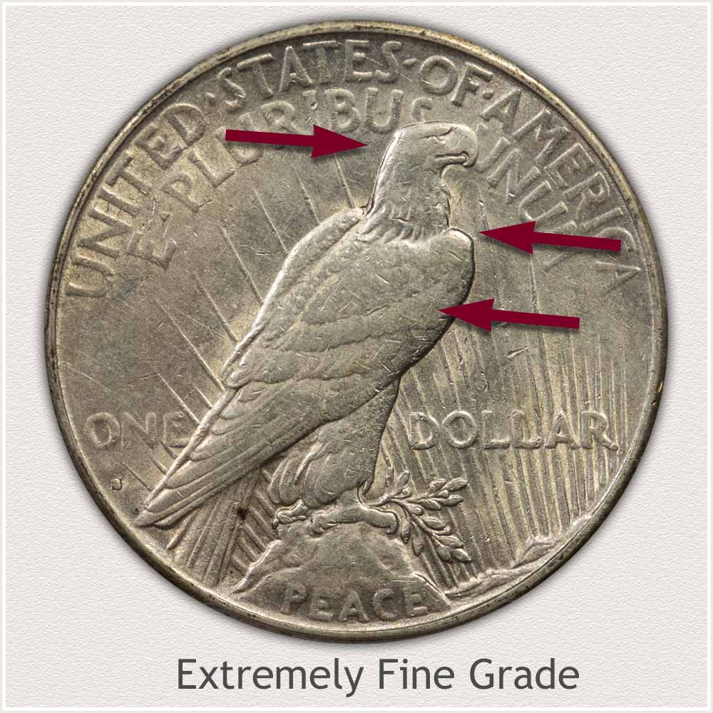 Reverse View: Extremely Fine Grade Peace Dollar