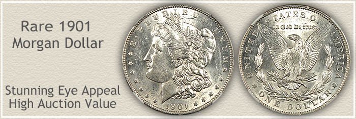 Rare 1901 Morgan Silver Dollar