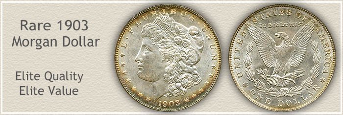 Rare 1903 Morgan Silver Dollar