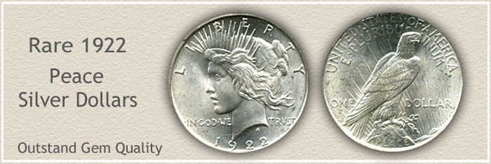 Dollar Dollar