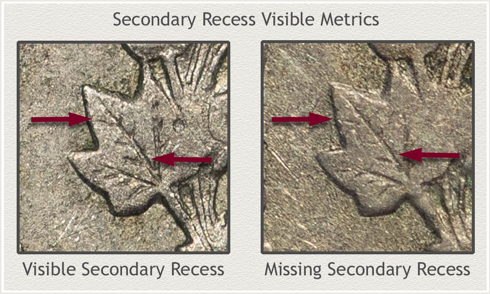 Visible and Missing Secondary Recess Metrics of the Cotton Leaves Compared