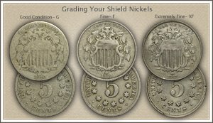 Visit...  Video | Grading Shield Nickels
