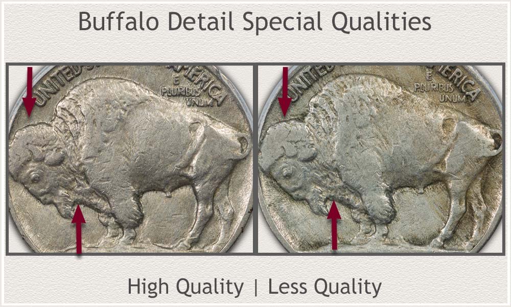 Quality Features of the Buffalo