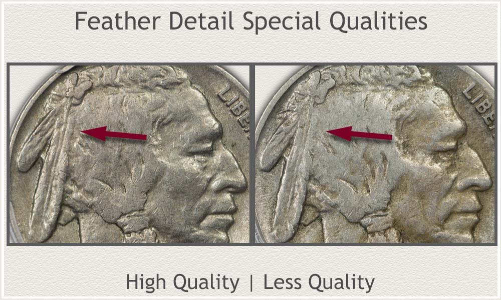 Feather Detail on Special Quality Buffalo Nickel