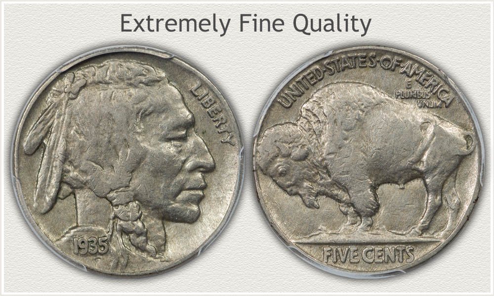 Extremely Fine Grade Special Quality Buffalo Nickel