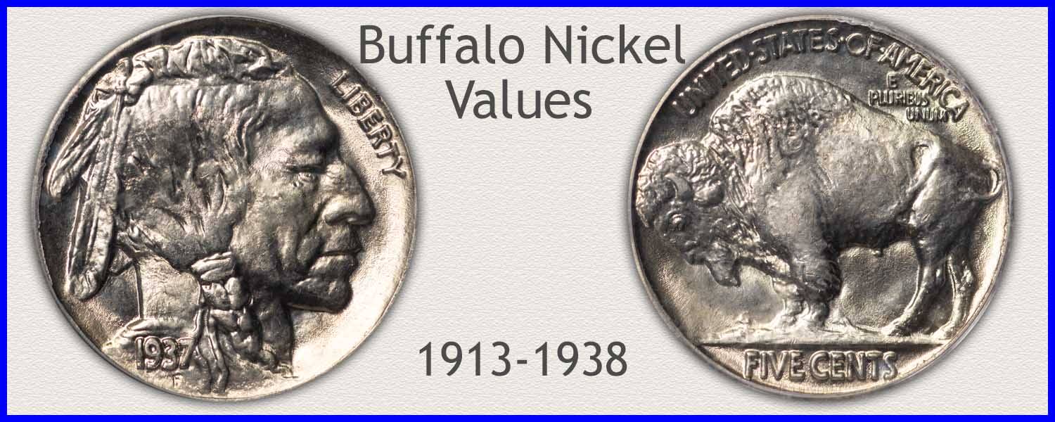 1936 Nickel Value Discover Your Buffalo Nickel Worth,Kabocha Squash Nutrition Facts