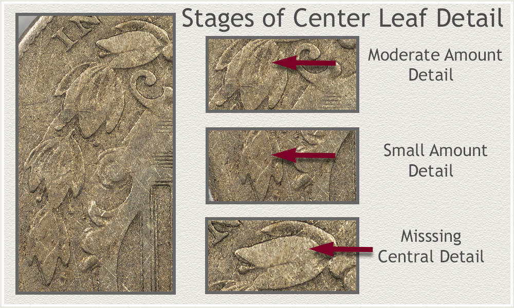 Highlighted are Stages of Wear on the Center Detail of Top Leaves