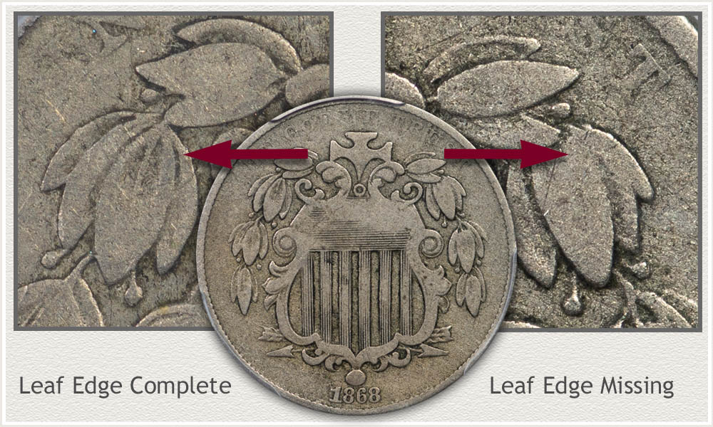 Examine of Top Leaf Edge Detail