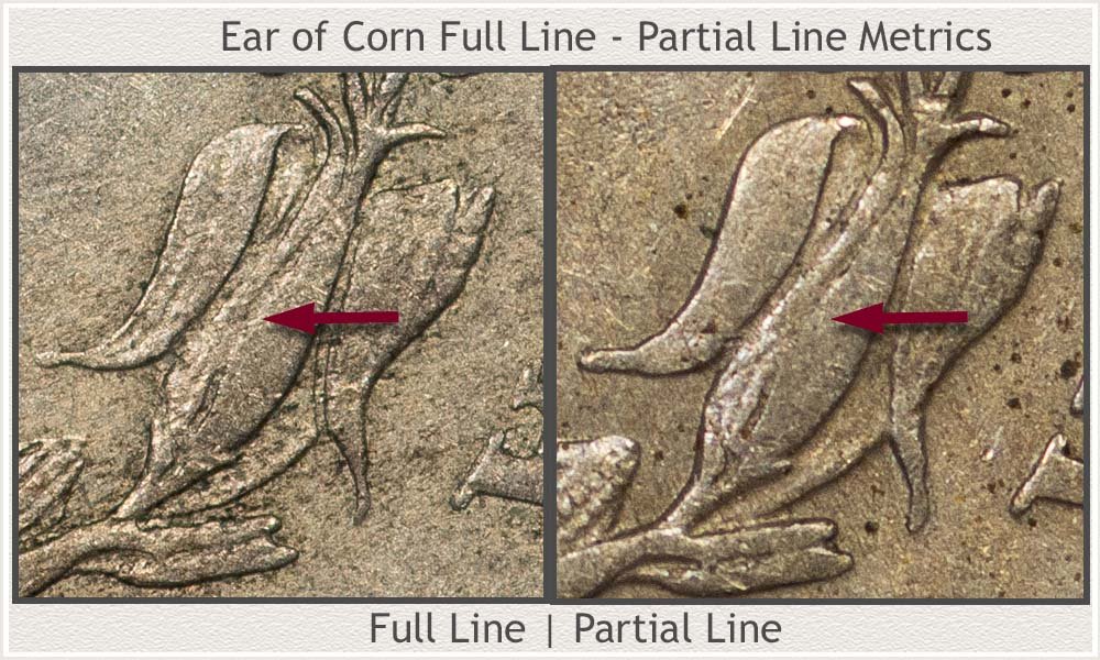 Close-Up of the Ear of Corn Visual Condition Metrics