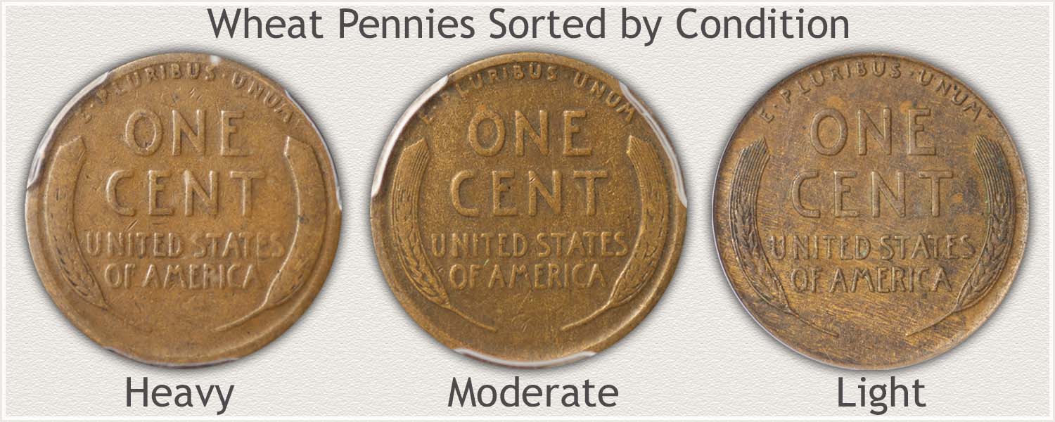 Wheat Cents in Good, Fine, and Extremely Fine Condition