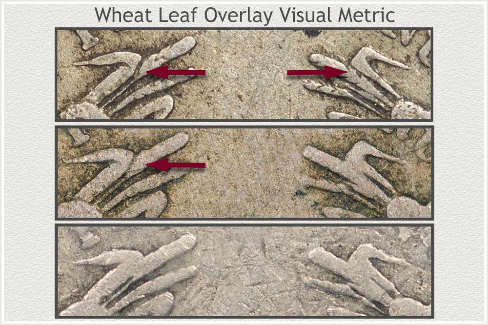 Close View of Wheat Grains and Overlay Leaf